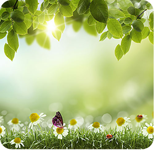 Nature for Robin Saklatvala